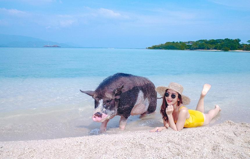 Samui Platinum Hotel Chaweng  Eksteriør bilde